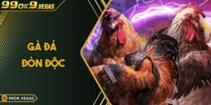 Gà Đá Đòn Độc Là Gì?Tuyệt Kỹ Hạ Gục Đối Thủ Trong Tích Tắc