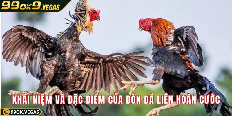 Khái niệm và đặc điểm của đòn đá liên hoàn cước