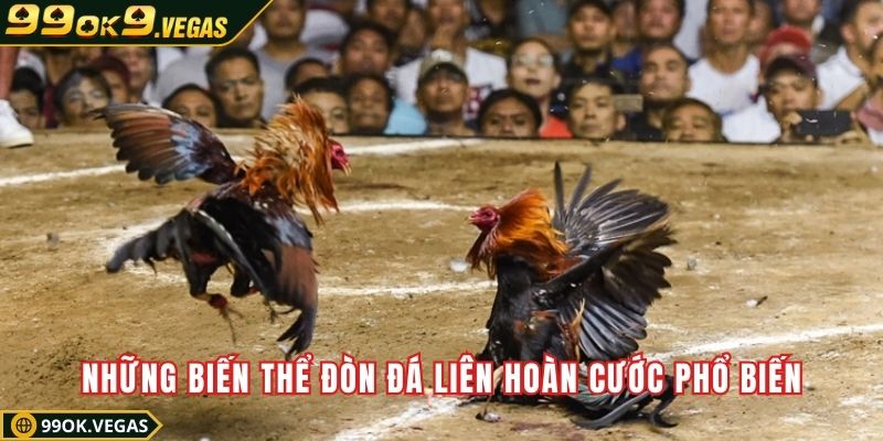 Những biến thể đòn đá liên hoàn cước phổ biến