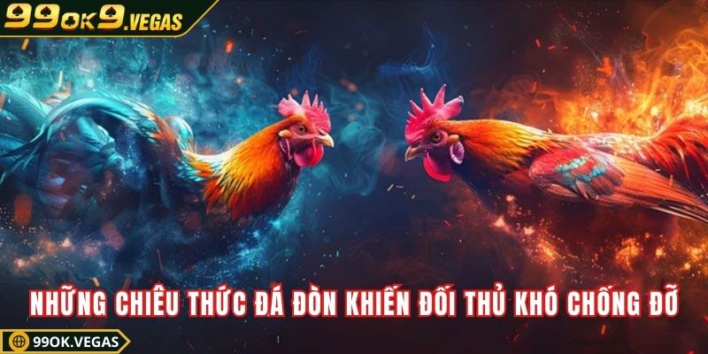 Những chiêu thức đá đòn khiến đối thủ khó chống đỡ