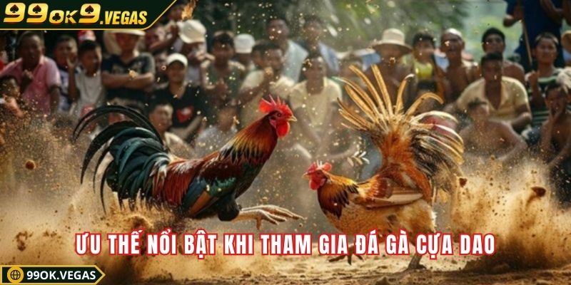 Ưu thế nổi bật khi tham gia đá gà cựa dao